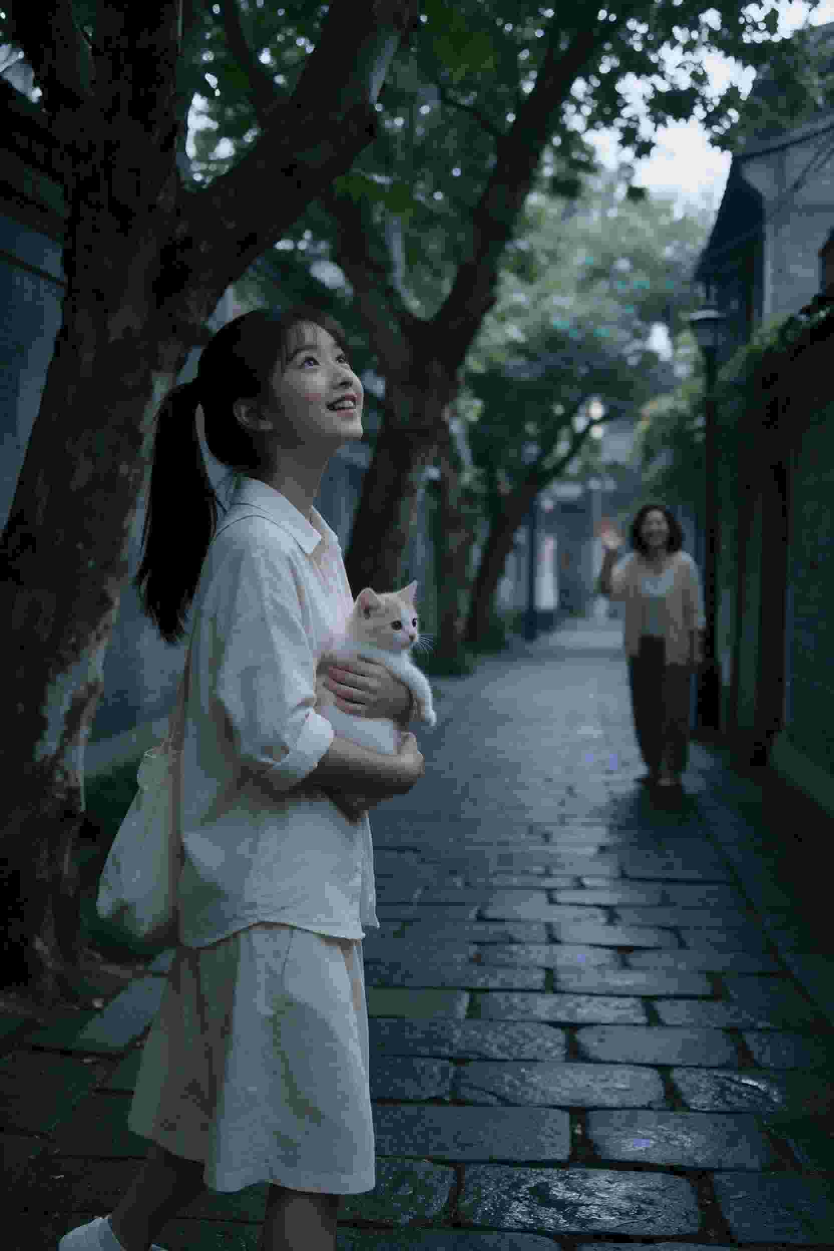 体感预报